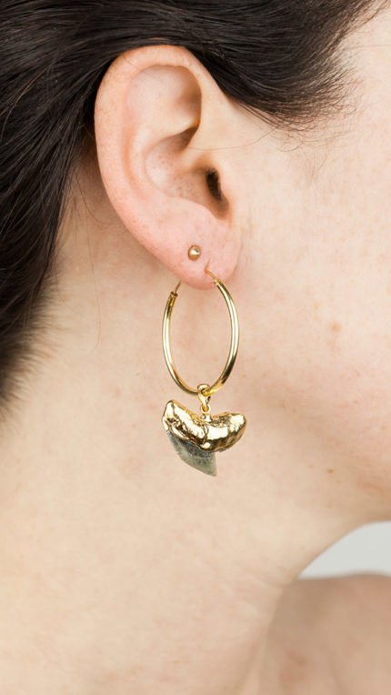 Ohrring Gold Creole Shark